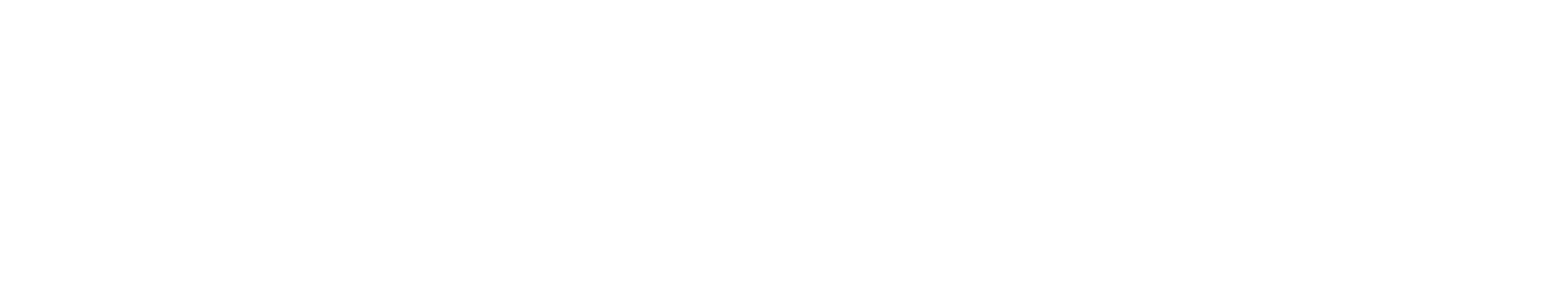 starbem-1